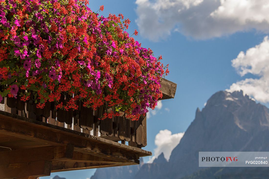 Flowered balcony with Croda Rossa  in the background