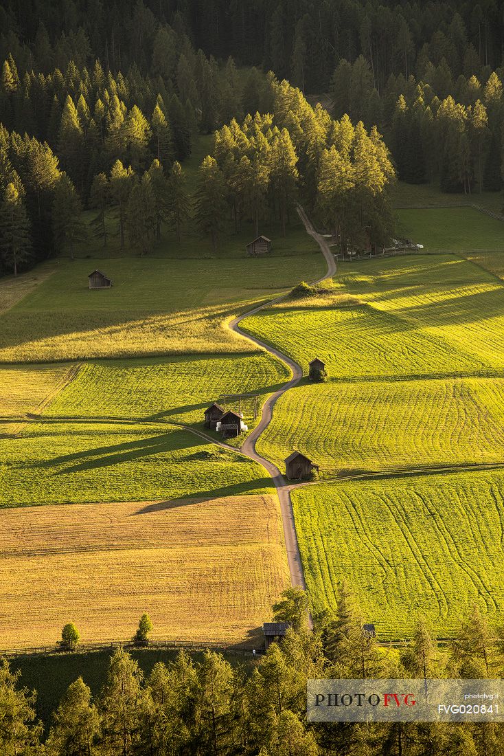 Meadows of Sesto in the Pusteria Valley