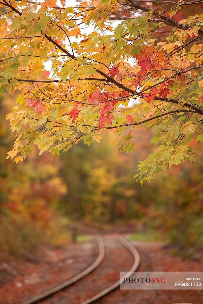 Autumn along the tracks that cross the  Franconia Notch State Park, New Hampshire, United States of America