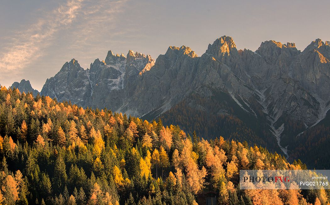 Golden larches and the group of Baranci on background from Dobbiaco