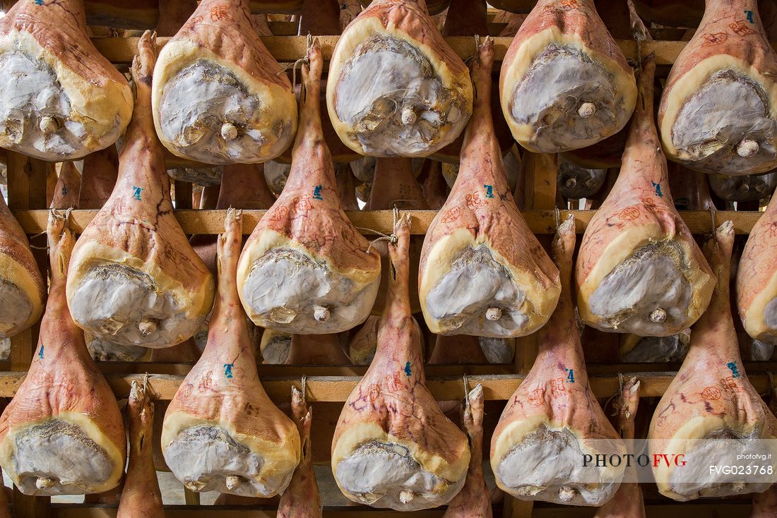 Hams of San Daniele del Friuli in seasoning at the Prolongo ham factory, Italy