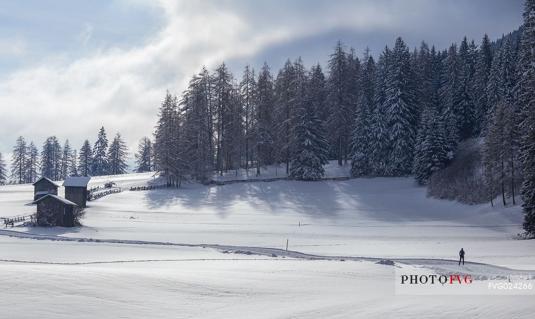 Ski cross immersed in the Sesto snowy landscape, Pusteria valley, Italy