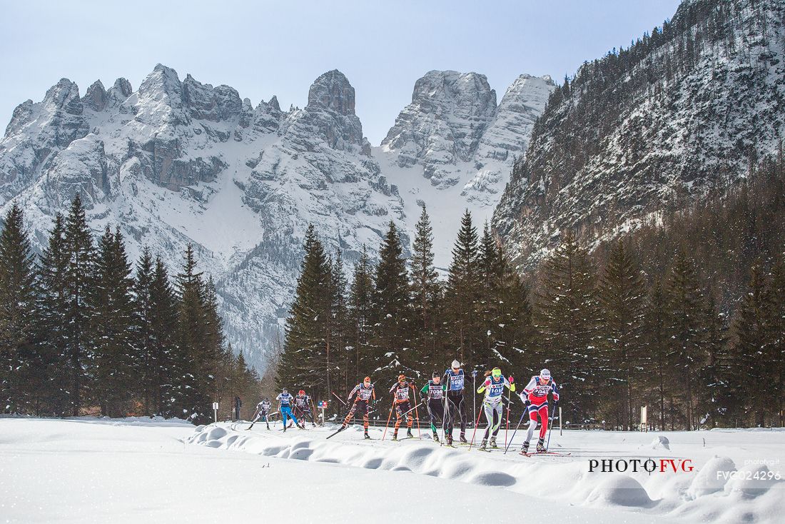 Race cross-country skiing skating in the Dobbiaco Cortina trail, Piz Popena and the Cristallo Mount on background, Landro valley, dolomites, Italy