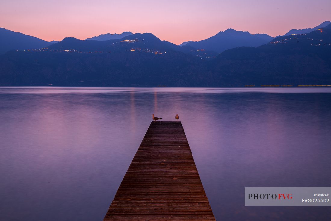 Two seagulls enjoy sunset on a glade in Garda lake near Malcesine, Italy