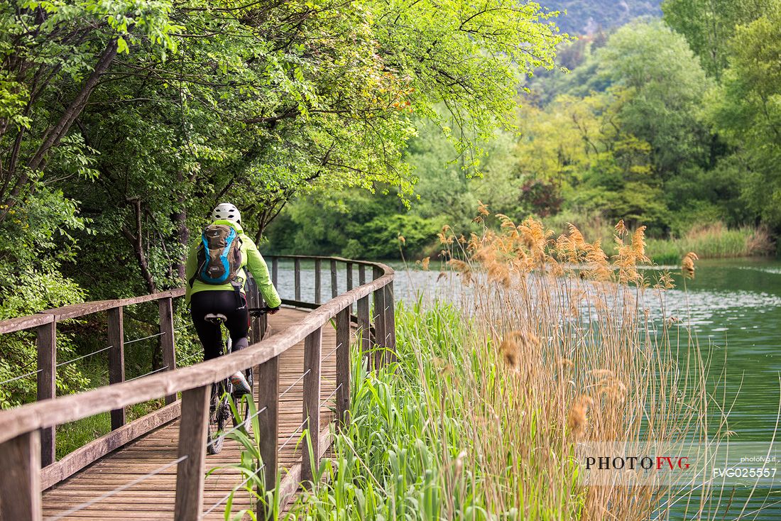 Cyclist along the catwalk of the Toblino lake, Valley of Lakes, Trentino, Italy 