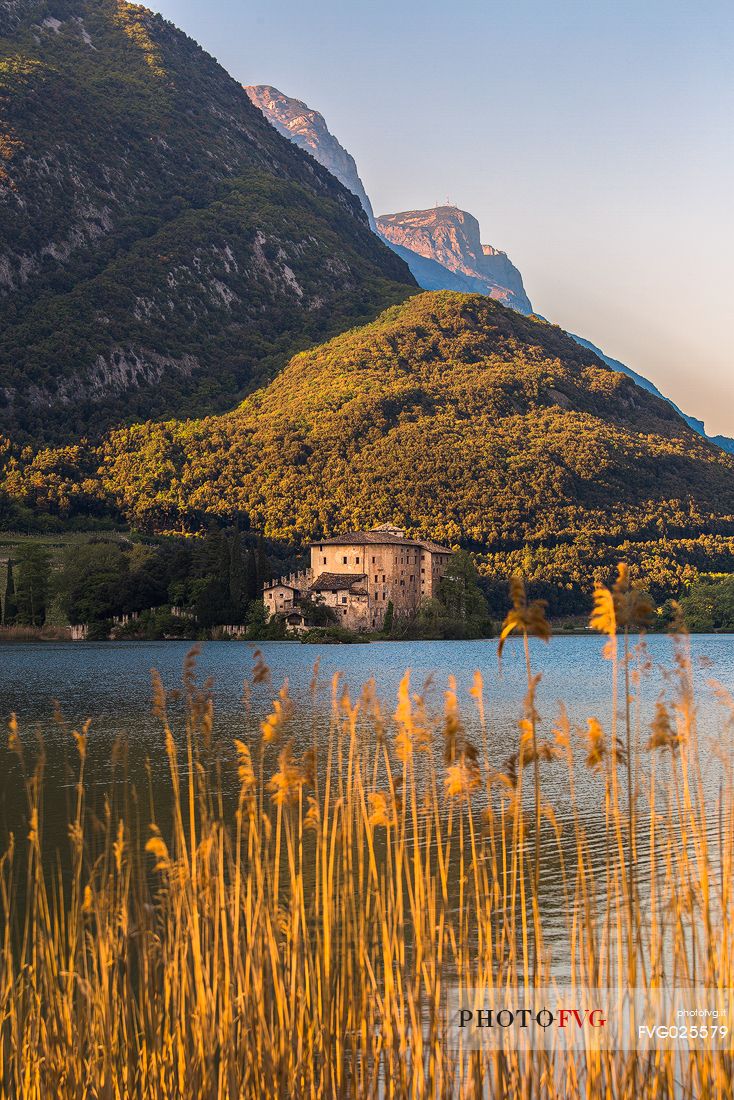 Cane thickets along the shores of Lake Toblino and Toblino Castle illuminated at sunset, Valley of Lakes, Trentino, Italy