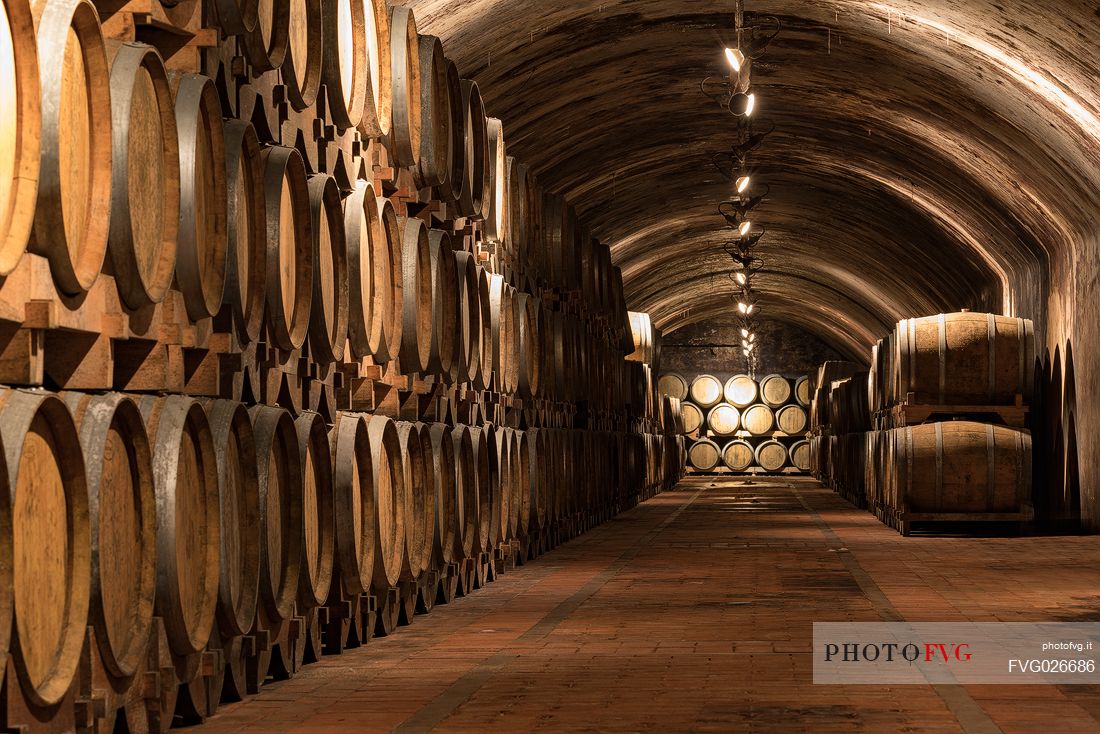 The historic aging cellar of Castello di Spessa in Capriva del Friuli, Friuli Venezia Giulia, Italy