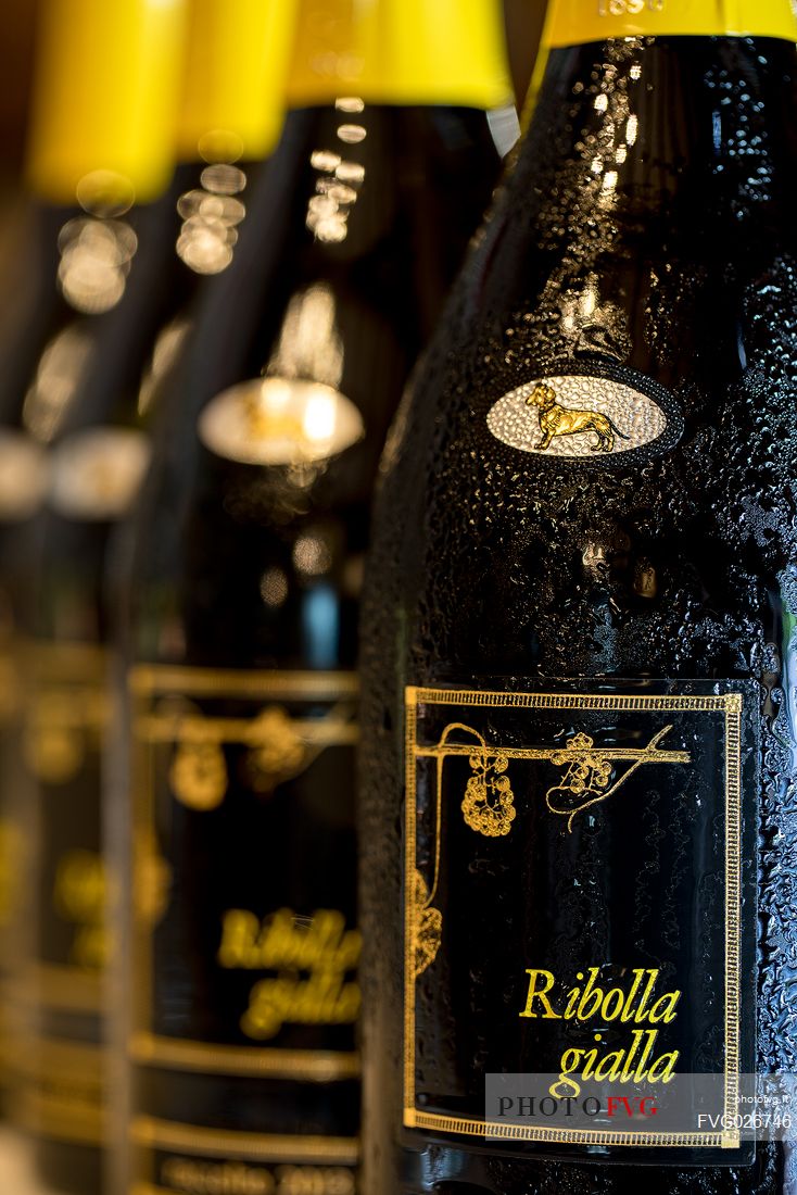 Bottles of Ribolla Gialla spumantizzata of the wine-growing company Eugenio Collavini in Corno di Rosazzo, Friuli Venezia Giulia, Italy