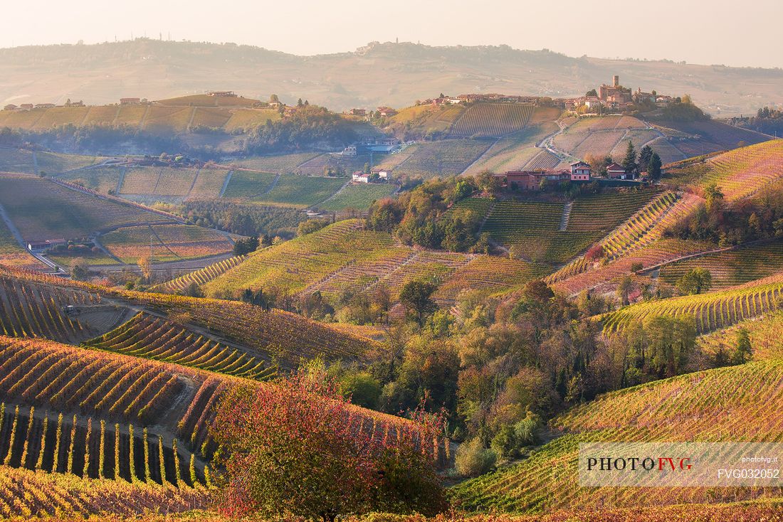 The vast expanses of vineyards of the Langhe at sunset, in the background the village of Castiglione Falletto, Unesco World Heritage, Piedmont, Italy, Europe