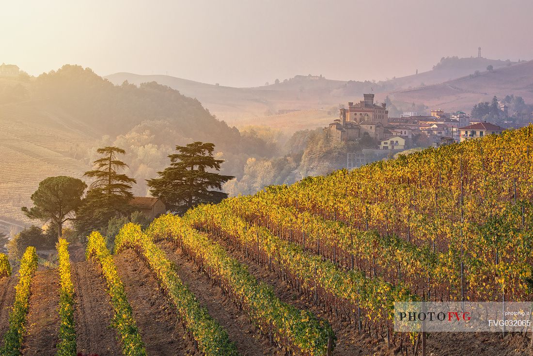 Vineyards of the Langhe in autumn, in the background the castle of Falletti di Barolo, Unesco World Heritage, Piedmont, Italy, Europe