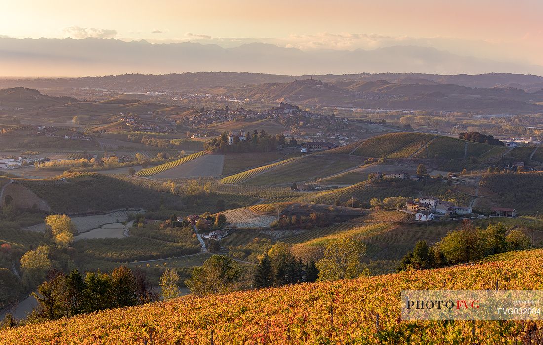 Panoramic view of vineyards of the Langhe in autumn near Grinzane Cavour, unesco world Heritaga, Piedmont, Italy, Europe
