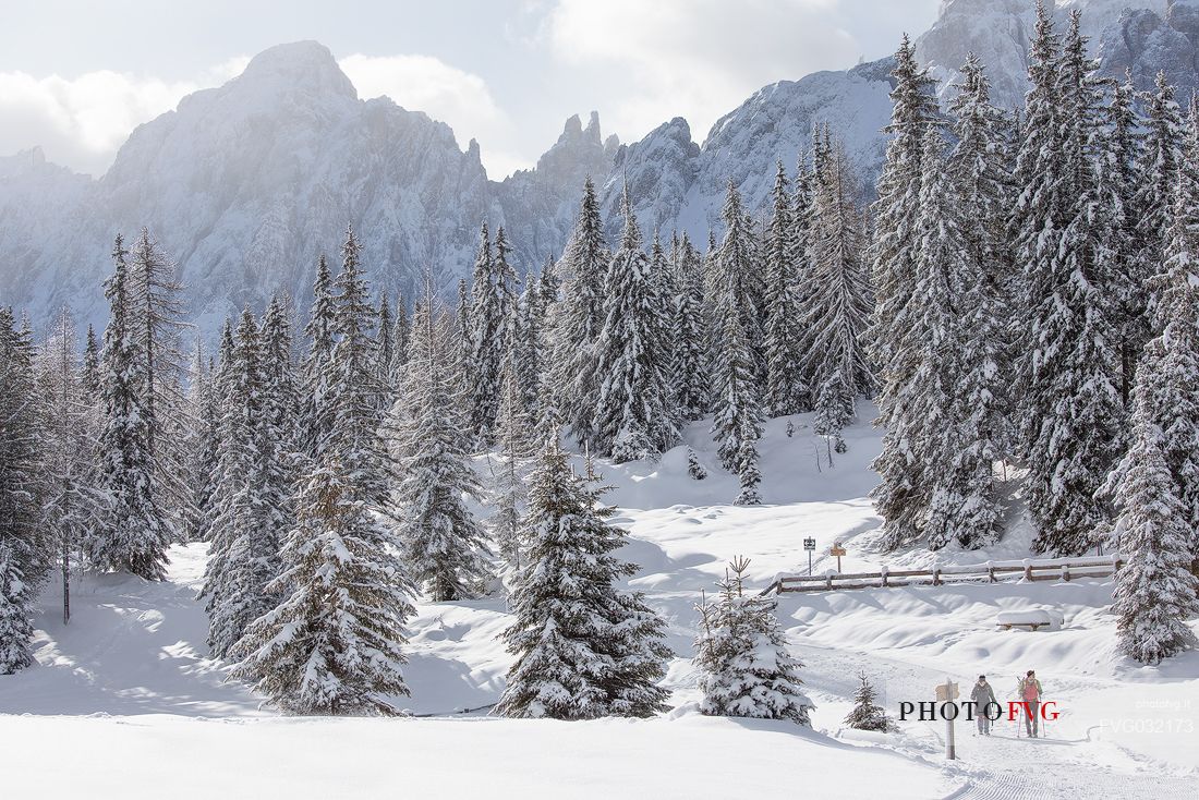 Hikers in the path leading to the Nemes hut, in the background the peaks of the Comelico Superiore, Sesto, Pusteria valley, Trentino Alto Adige, Italy, Europe Hikers in the path leading to the Nemes hut, in the background the peaks of the Comelico Superiore, Sesto, Pusteria valley, Trentino Alto Adige, Italy, Europe