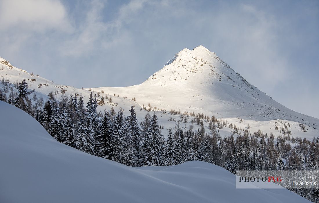Col Quatern in winter landscape, Comelico Superiore, dolomites, Veneto, Italy, Europe