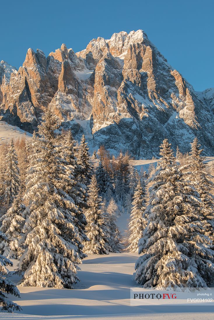 Sunrise on the tops of the Croda Rossa of Sesto or Rotwand from the Monte Croce Comelico Pass,  Pusteria valley, dolomites, Trentino Alto Adige, Italy, Europe