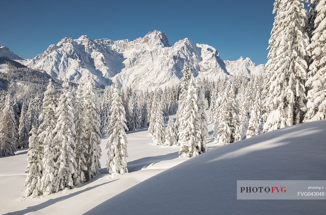 The snow covered landscape of Sesto, on background the Tre Scarperi Mount, Sesto, Pusteria valley, dolomites, Trentino Alto Adige, Italy, Europe