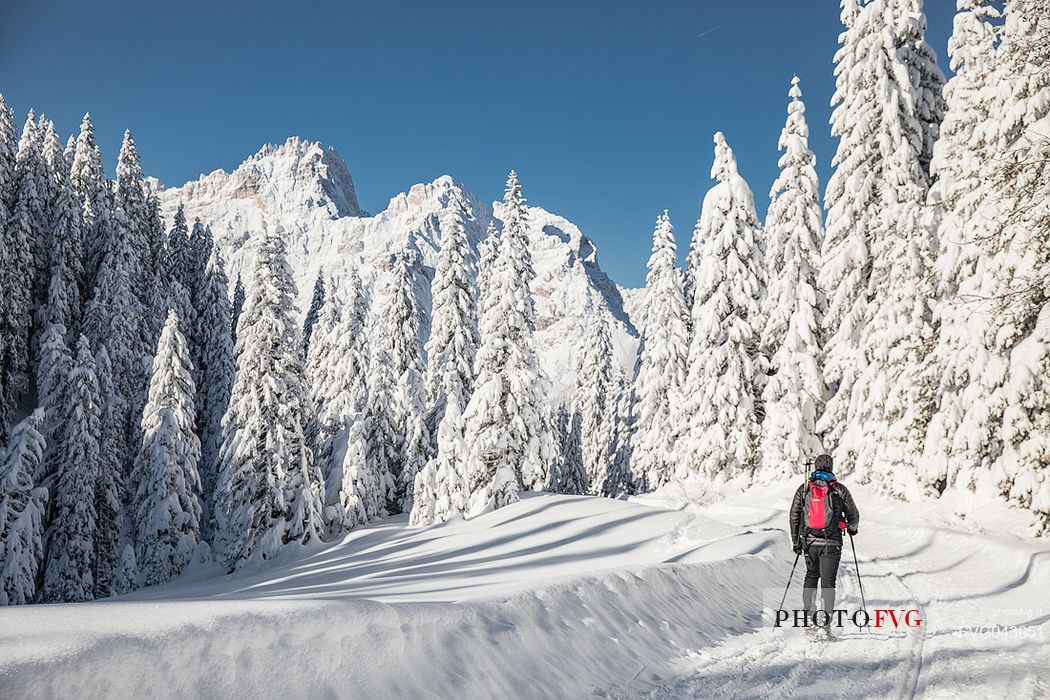 Trekker with snowshoes immersed in the snow covered landscape of Sesto, on background the Tre Scarperi Mount, Sesto, Pusteria valley, Trentino Alto Adige, Italy, Europe