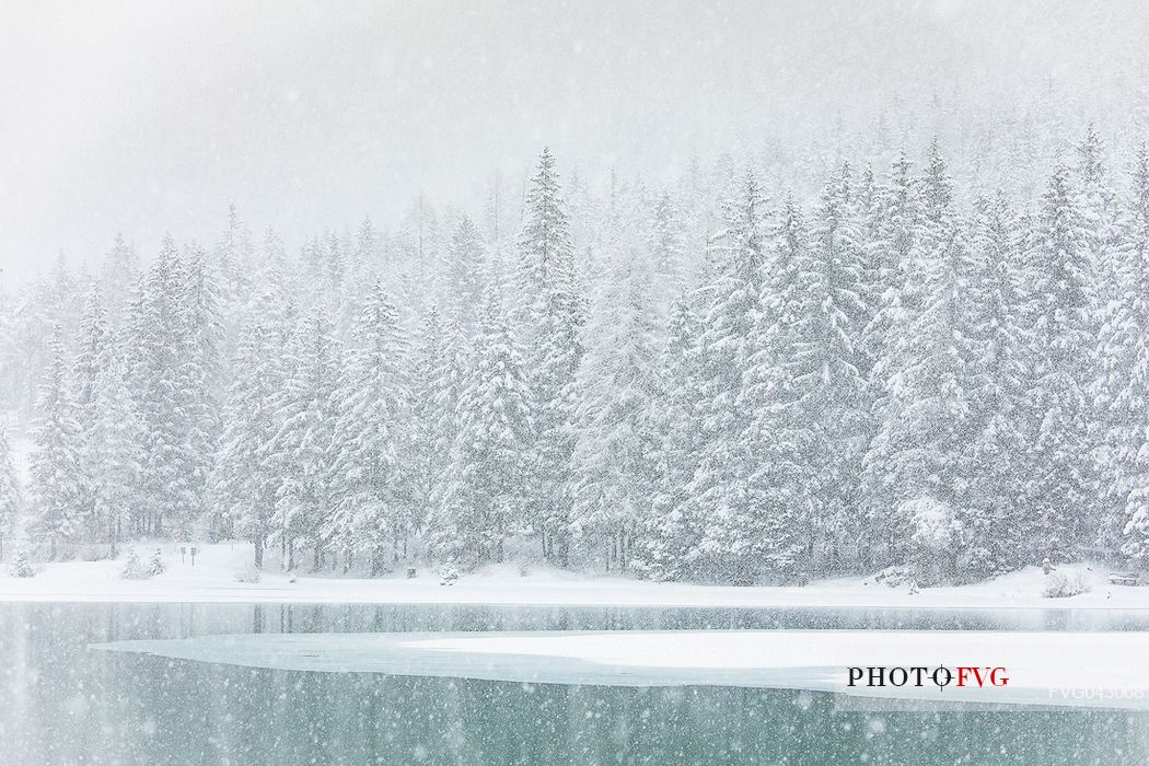 The Dobbiaco lake during an intensive snowfall, Pusteria valley, dolomites, Trentino Alto Adige, Italy, Europe