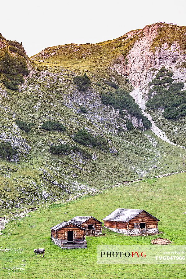 Colli Alti hut from above, Pusteria valley, dolomites, Trentino Alto Adige, Italy, Europe