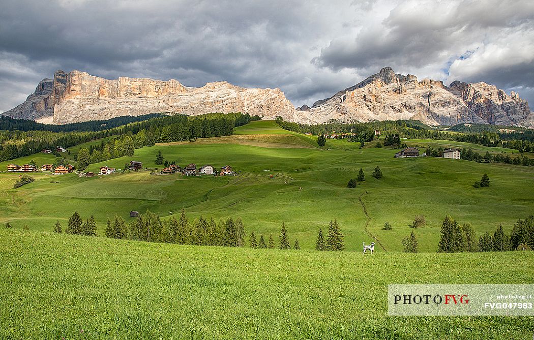 The fields in La Villa and in the background the Sasso della Croce and Lavarella mountains, Badia valley, dolomites, Trenino Alto Adige, Italy, Europe