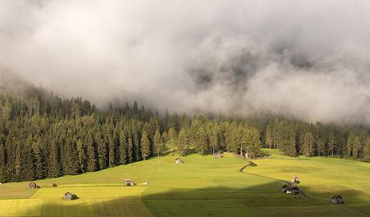 Fluffy morning clouds cover slowly the forest of Sesto 