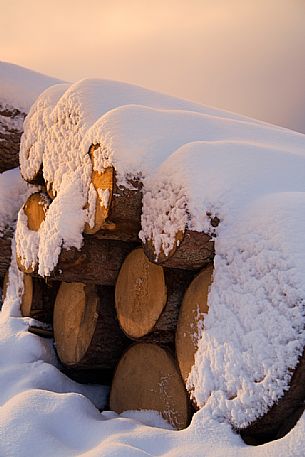 The snow wraps the pile of wood at sunrise
