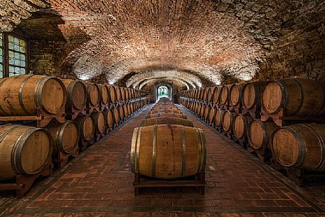 The wine cellar of Spessa Castle in Gorizia