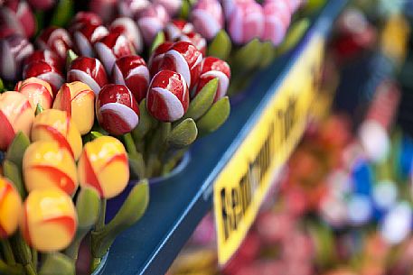 The colorful tulips carved in wood on sale at the floating market of flowers Amsterdam ( Bloemenmarkt )