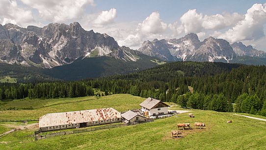Alpe di Nemes hut with view of the Sesto Dolomites in the background Alpe di Nemes hut with view of the Sesto Dolomites in the background