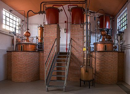 Distillery of Tenuta di Villanova in Farra d'Isonzo- Gorizia