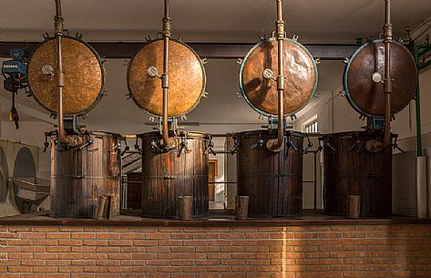 Vats of the distillery of Tenuta di Villanova in Farra d'Isonzo - Gorizia