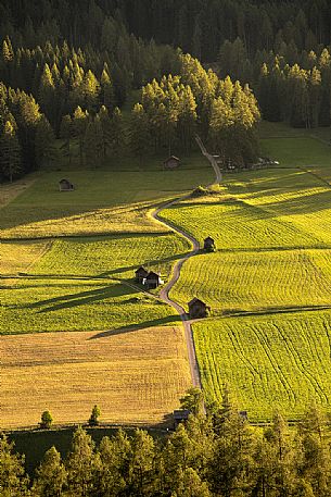 Meadows of Sesto in the Pusteria Valley