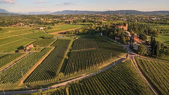 The castle of Spessa and the vineyards of Collio in Gorizia at sunset