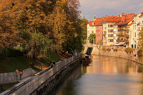 Ljubljanica is a river in central western Slovenia that flows through the city of Lubiana, Slovenia, Europe