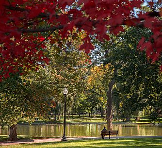 Relax in the Boston Common, the oldest public park in the United States located in the heart of Boston, New England, USA