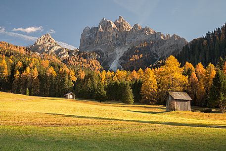 Golden larches and Braies Dolomites on background at sunset, South Tyrol, Italy