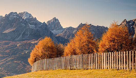 Golden larches and Sesto Dolomites on background from Elmo Mount