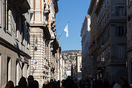 Walking between the palaces along  the streets of the center in Trieste, Italy
