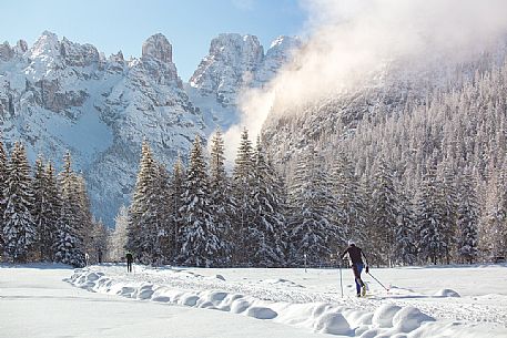 Cross country skiing in Dobbiaco Cortina trail, in the background the Piz Popena and Cristallo Mount, Landro valley, dolomites, Italia