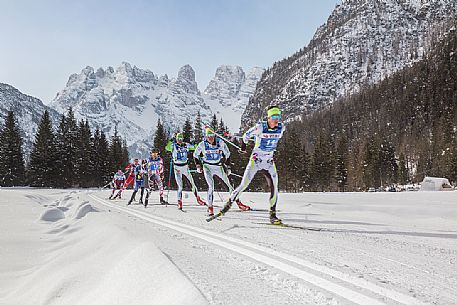 Race cross-country skiing skating in the Dobbiaco Cortina trail, Piz Popena and the Cristallo Mount on background, Landro valley, dolomites, Italy