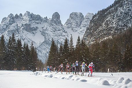Race cross-country skiing skating in the Dobbiaco Cortina trail, Piz Popena and the Cristallo Mount on background, Landro valley, dolomites, Italy