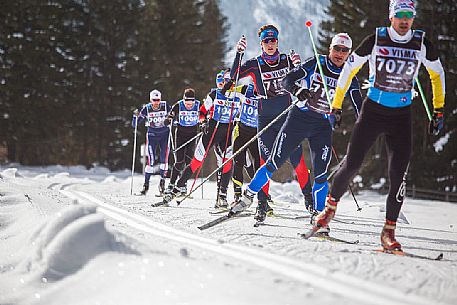 Race cross-country skiing skating in the Dobbiaco Cortina trail, Piz Popena and the Cristallo Mount on background, Landro valley, dolomites, Italy