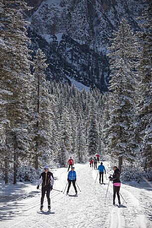 Ski cross immersed in the winter landscape of Tre Cime di Lavaredo Natural Park, Sesto, dolomites, italy Ski cross immersed in the winter landscape of Tre Cime di Lavaredo Natural Park, Sesto, dolomites, italy