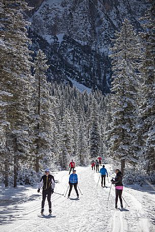 Ski cross immersed in the winter landscape of Tre Cime di Lavaredo Natural Park, Sesto, dolomites, italy