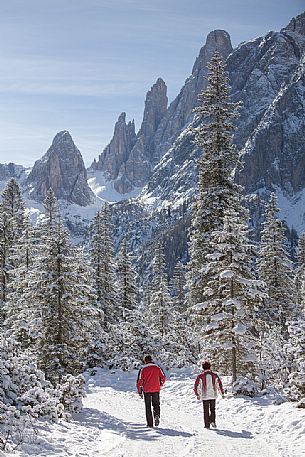 Trekkers in the Tre Cime di Lavaredo Natural Park, on background comes out the Croda dei Toni Mount, Fiscalina valley,Italy