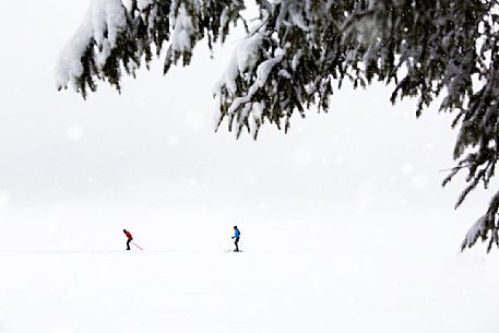 Cross country skiing on the Anterselva lake under an intensive snowfall, Pusteria Valley, Italy