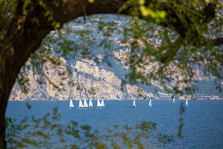 Sailboats on Lake Garda at Malcesine, Italy