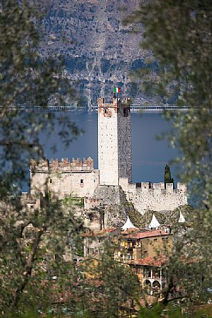 The Scaligero castle of Malcesine on Garda lake framed by olive groves, Italy