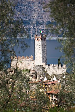 The Scaligero castle of Malcesine on Garda lake framed by olive groves, Italy The Scaligero castle of Malcesine on Garda lake framed by olive groves, Italy