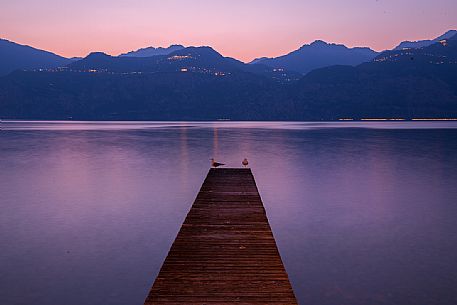 Two seagulls enjoy sunset on a glade in Garda lake near Malcesine, Italy