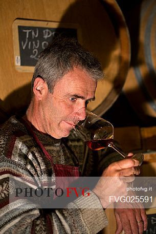 Stefano of the Cantina Pisoni located between the Dolomites and Lake Garda, specializing in Vino Santo, red and white wines of Trentino Alto Adige, Valley of Lakes, alle dei Laghi, Italy Stefano of the Cantina Pisoni located between the Dolomites and Lake Garda, specializing in Vino Santo, red and white wines of Trentino Alto Adige, Valley of Lakes, alle dei Laghi, Italy